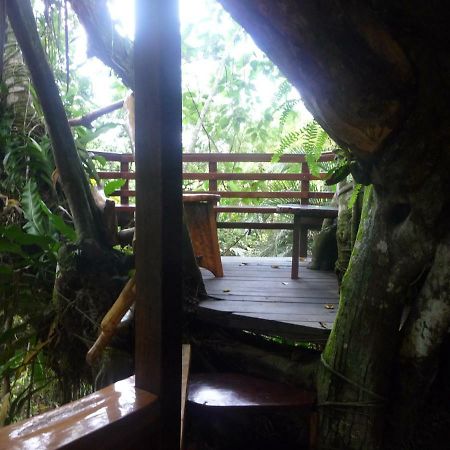 קאוויטה Topos Tree House מראה חיצוני תמונה