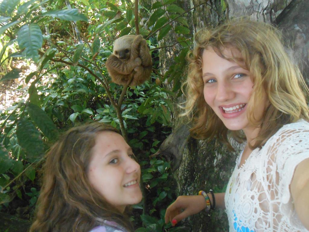 קאוויטה Topos Tree House מראה חיצוני תמונה