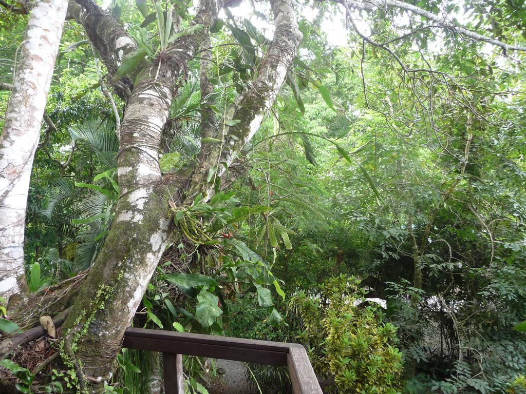 קאוויטה Topos Tree House מראה חיצוני תמונה