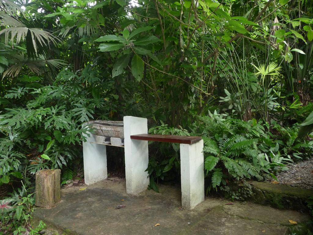 קאוויטה Topos Tree House מראה חיצוני תמונה
