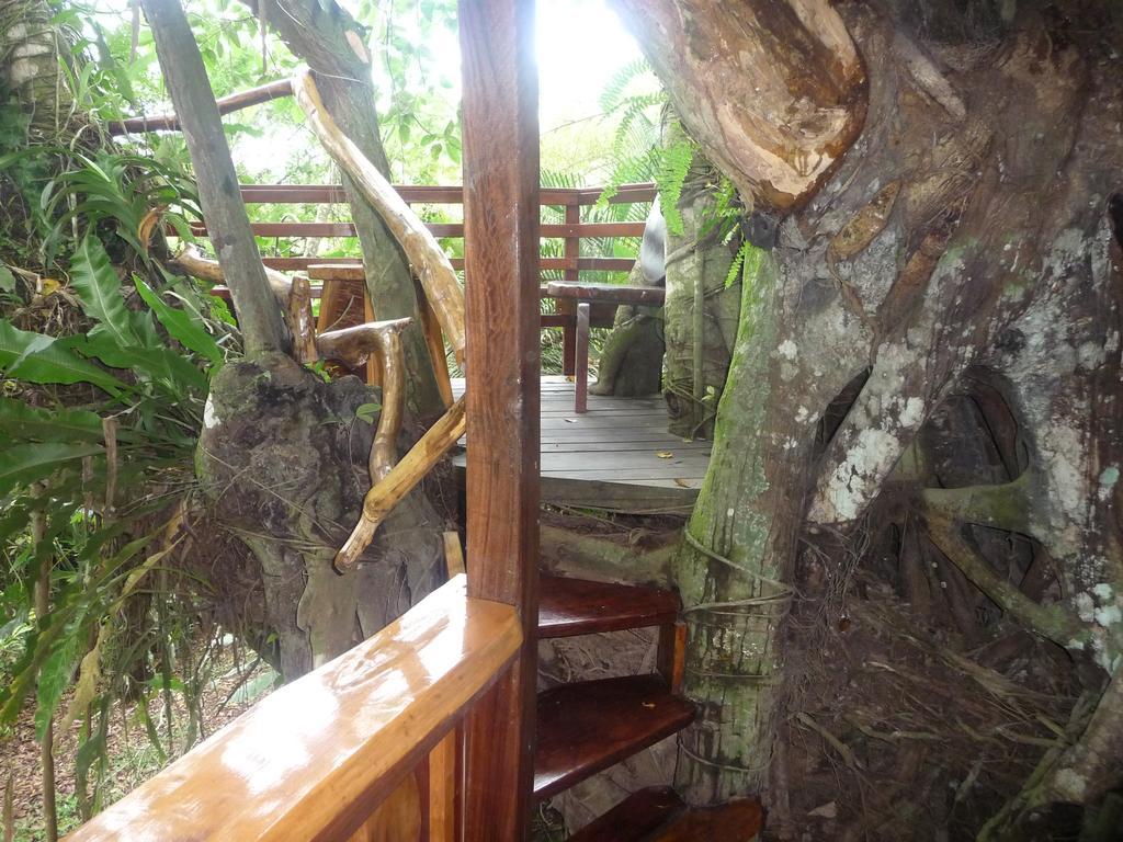 קאוויטה Topos Tree House מראה חיצוני תמונה