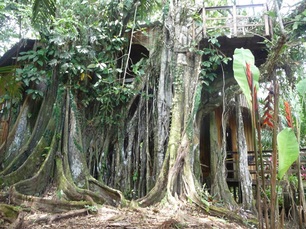 קאוויטה Topos Tree House מראה חיצוני תמונה