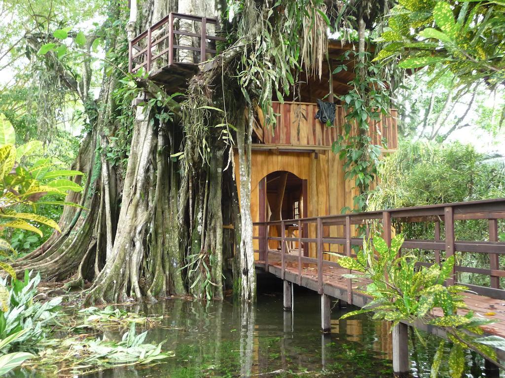 קאוויטה Topos Tree House מראה חיצוני תמונה