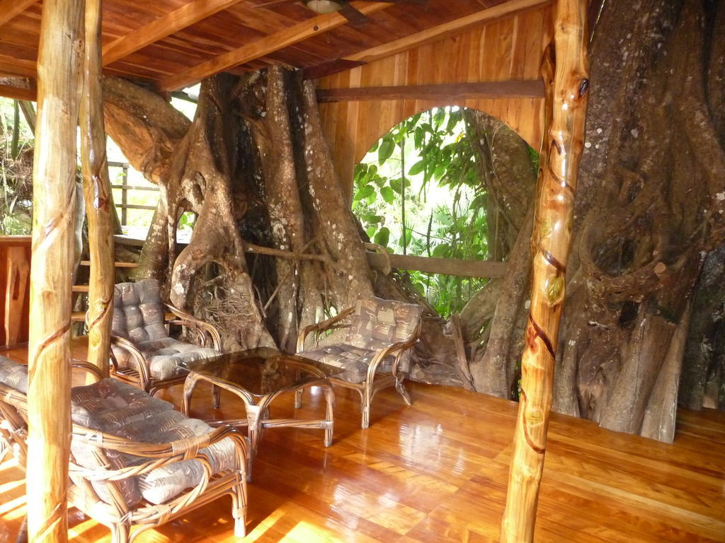קאוויטה Topos Tree House מראה חיצוני תמונה