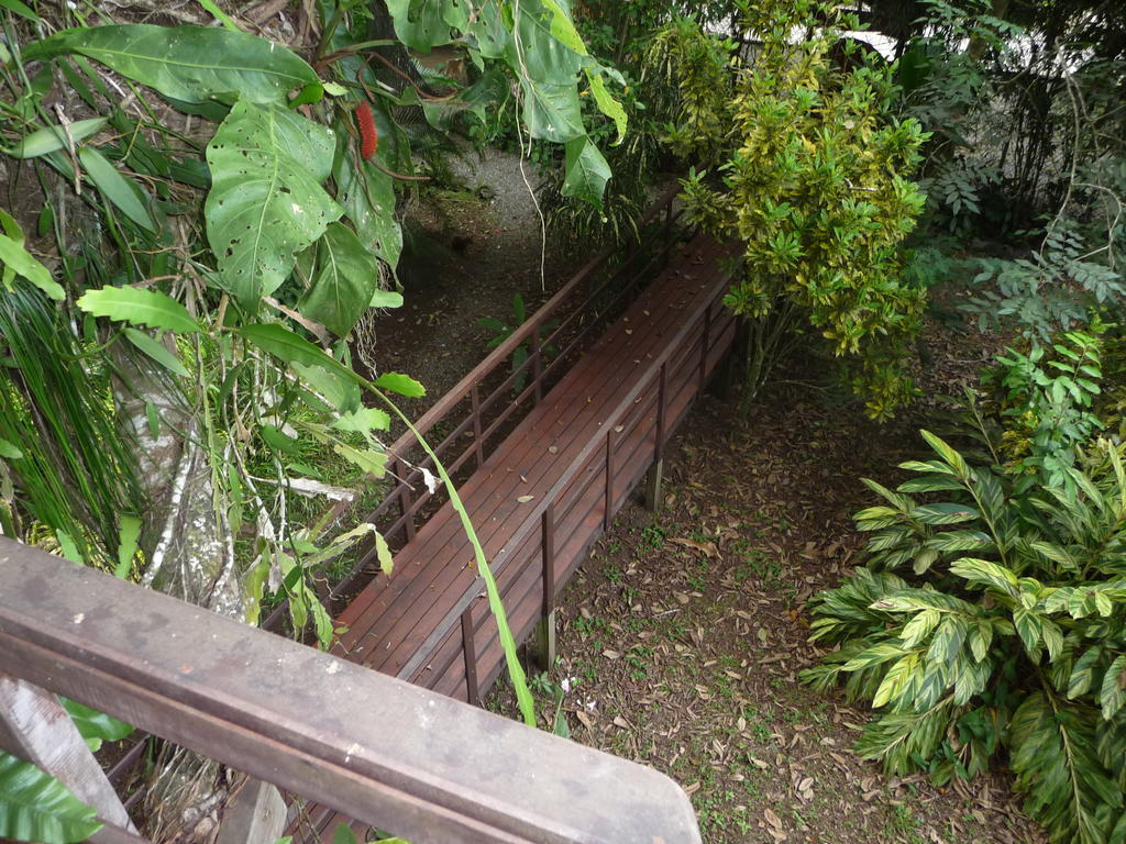 קאוויטה Topos Tree House מראה חיצוני תמונה