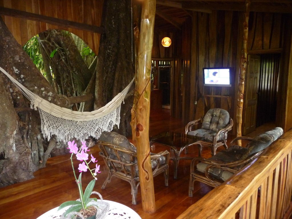 קאוויטה Topos Tree House מראה חיצוני תמונה