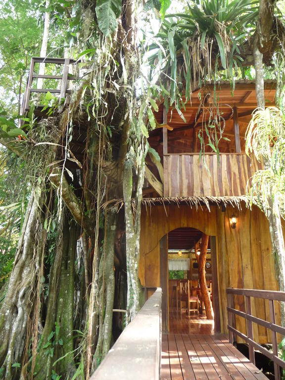 קאוויטה Topos Tree House חדר תמונה
