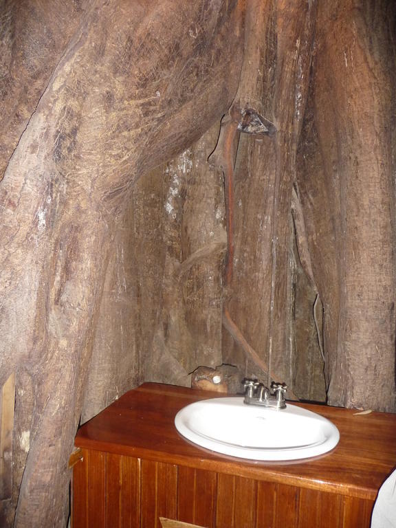 קאוויטה Topos Tree House מראה חיצוני תמונה