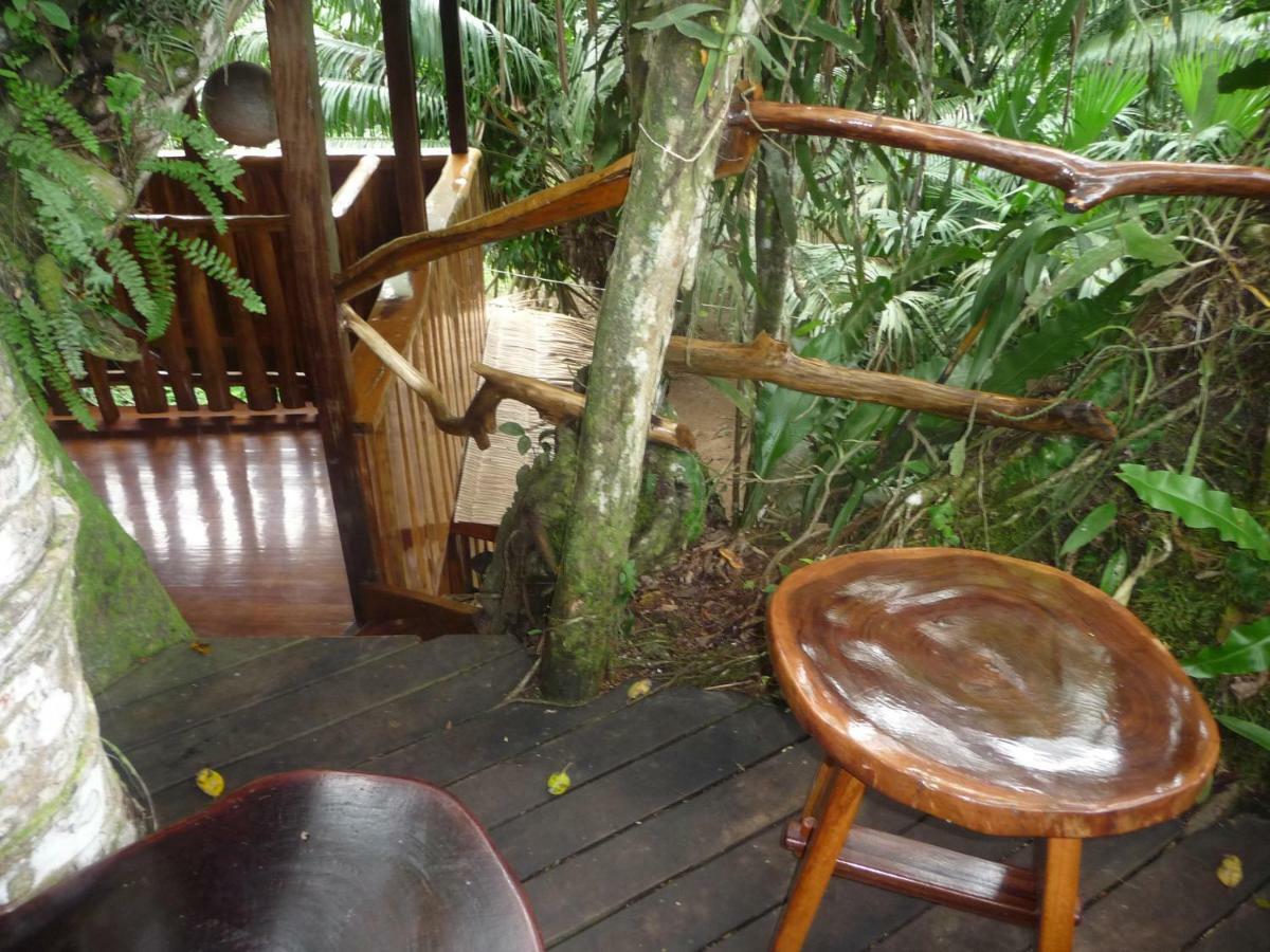 קאוויטה Topos Tree House מראה חיצוני תמונה