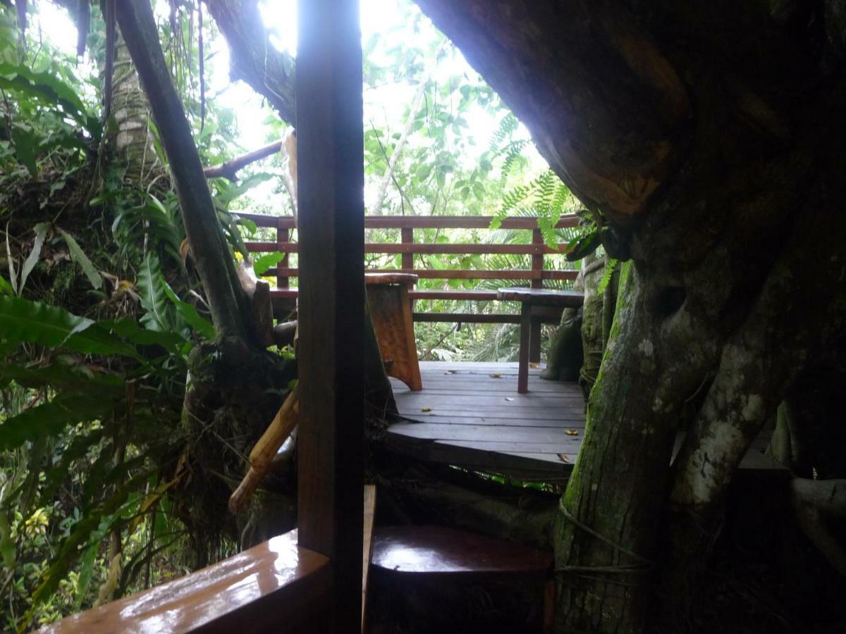 קאוויטה Topos Tree House מראה חיצוני תמונה
